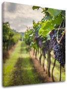 Obraz na stenu HROZNO_091-12 | rôzne rozmery