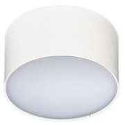 Azzardo AZ2256 - LED Stropné svietidlo MONZA 1xLED/10W/230V AZ2256