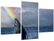 Obraz - Keporkak (90x60 cm)