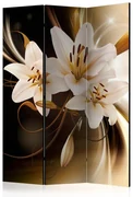 Artgeist Paraván - Circle of Light [Room Dividers]