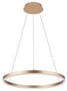 Palnas - Luster na lanku DONA LED/42W/230V pr. 60 cm