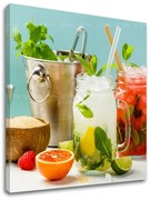Obraz na stenu LETNÝ DRINK_069-12 | rôzne rozmery