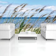 Fototapeta - Pobrežná tráva (254x184 cm)