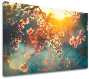 Obraz na stenu STROMY_037-11 | rôzne rozmery