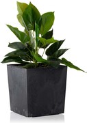 PLASTOVÝ KVETINÁČ FLORE 19X19 CM IMITÁCIA BETÓNU ČIERNA
