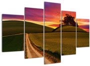 Obraz poľa pri západe slnka (150x105 cm)