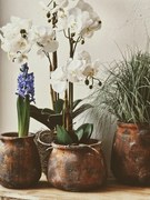 Dekorácia umelá kvetina Orchidea s koreňmi a machom - 23*17*40 cm