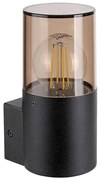 Rabalux 7158 - Vonkajšie nástenné svietidlo TEPLICE 1xE27/12W/230V IP44 RL7158