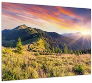 Obraz - Lesná krajina (70x50 cm)