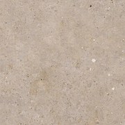 Dlažba Pastorelli Biophilic greige 60x60 cm mat P009498