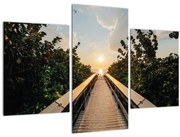 Obraz - cesta k slnku (90x60 cm)