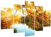 Obraz - Jesenný strom (150x105 cm)