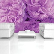 Fototapeta - Kvety (152,5x104 cm)