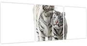 Obraz - Biely tiger (s hodinami) (90x30 cm)