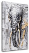 Obraz na plátne SLON 1 dielny XOBCHAN010 | rôzne rozmery