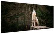 Obraz - Vytie vlka (120x50 cm)