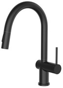 Gamma ANA, kuchynská batéria s 2-funčným výtokom, čierna matná, GMA-BANA-BK