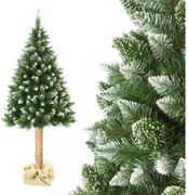 Vianočný stromček na kmeni 180 cm borovica