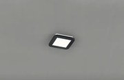 Reality Camillus led stropné osvetlenie čierna re r62931032 RER62931032