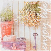 Obraz tlačený na plátne 28x28 PRC907