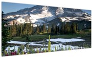 Obraz - Mount Rainier (120x50 cm)