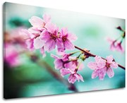 Obraz na stenu KVETY | rôzne rozmery