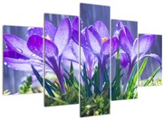 Obraz kvetov v daždi (150x105 cm)