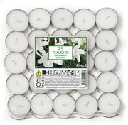 Petali vonné čajové sviečky Jasmín 25ks