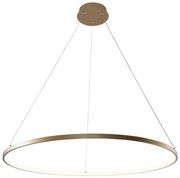 Zuma Line 2023201-GD80 - LED Luster na lanku BRENO LED/36W/230V 3000/4000/6000K ZL0514
