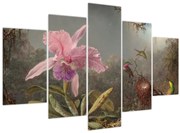 Obraz - Martin Johnson Heade, Cattleya Orchid and Three Hummingbirds, reprodukcia (150x105 cm)