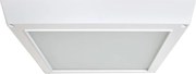 Stropné LED svietidlo Evora Square, 1x LED 20w, 6000k, w