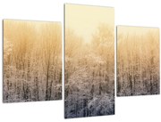 Obraz mrazivého lesa (90x60 cm)