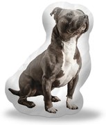 Sablio 3D vankúš Amstaff
