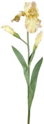 Dekorácia umelý žltý kosatec Iris Pale - 81 cm