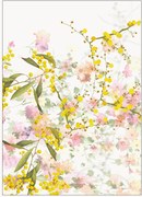 Bavlnené kuchynské utierky Mimosas, 4 ks