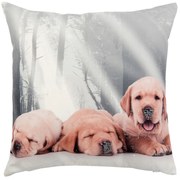 Vankúš s výplnami REAL ANIMALS psi - 40*40cm
