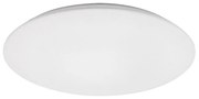 Rabalux 71124 - LED Stropné svietidlo RORIK LED/24W/230V 4000K 38 cm RL71124