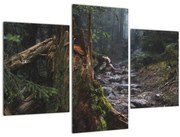 Obraz - V lese (90x60 cm)