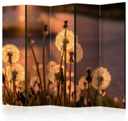 Artgeist Paraván - Farewell to Summer II [Room Dividers]