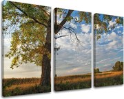 Obraz na stenu 3 dielny STROMY ST016E30