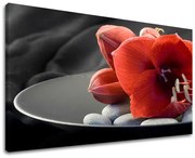 Obraz na stenu FENG SHUI | rôzne rozmery