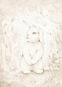 Plagát králik 50x70cm