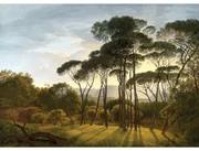 Fototapeta XXL Old Forest 360 x 254 cm, 4 diely