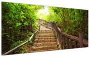 Obraz - Schody v prírode (120x50 cm)
