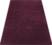 DY Obdĺžnikový fialový shaggy koberec Kamel Rozmer: 120x170 cm
