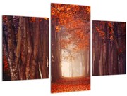 Obraz - Jesenné les (90x60 cm)