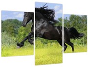 Obraz - Kôň s vzdušnou hrivou (90x60 cm)