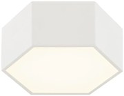 Argon 8781 - LED Stropné svietidlo LIBERO LED/12W/230V 3000K biela
