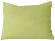 Obliečka na vankúš z mikrovlákna LANTA 40x50 cm, pistáciový