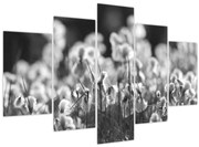 Obraz - Letná lúka (150x105 cm)